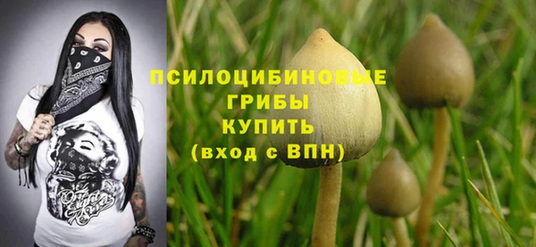 прущая мука Абдулино