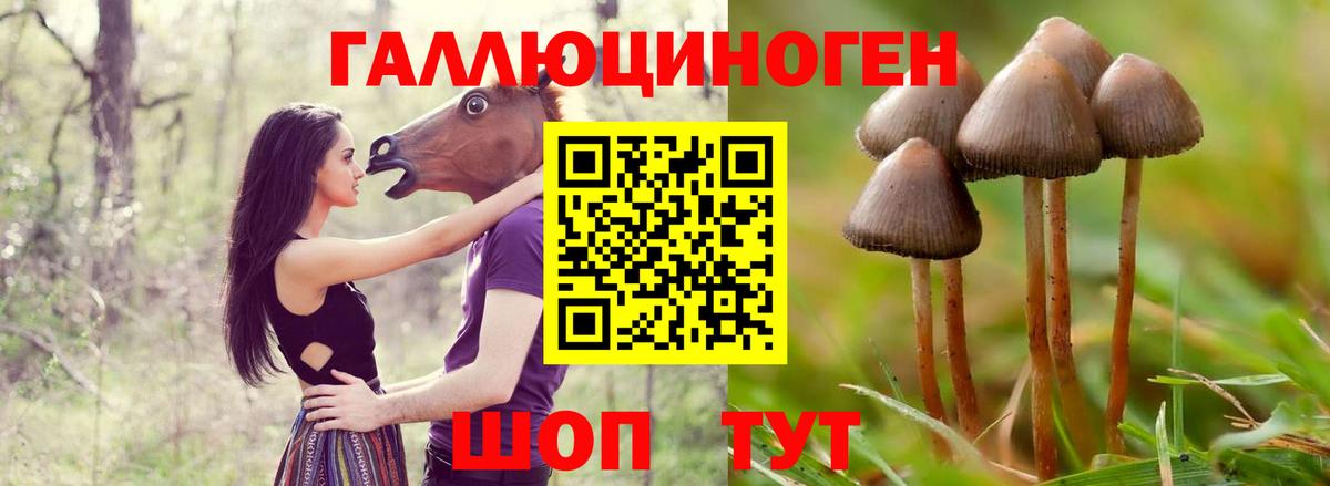 Псилоцибиновые грибы Cubensis  Вход с VPN  Нягань 