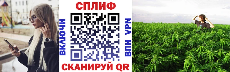 МЕГА   Нягань  Канабис конопля 